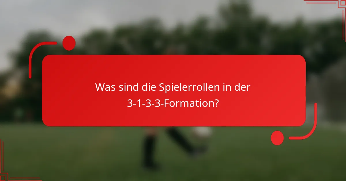 Was sind die Spielerrollen in der 3-1-3-3-Formation?